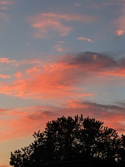 Newell Park - Apple Valley, MN