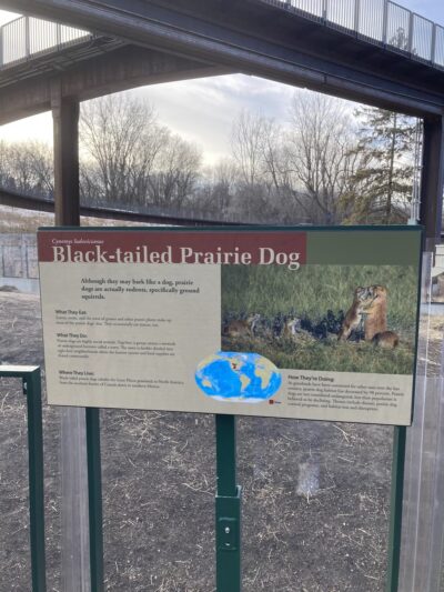 Prairie Dogs - Apple Valley, MN