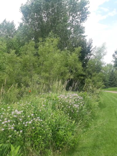 Regatta Park - Apple Valley, MN