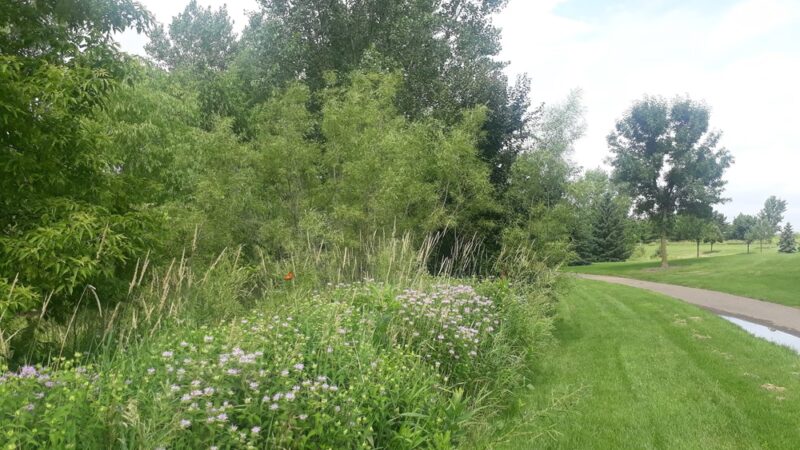 Regatta Park - Apple Valley, MN