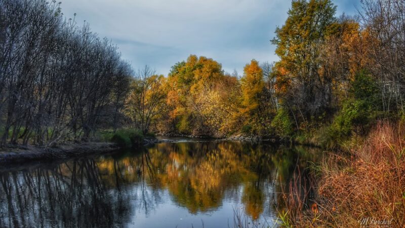 Old swimming house - Appleton, MN