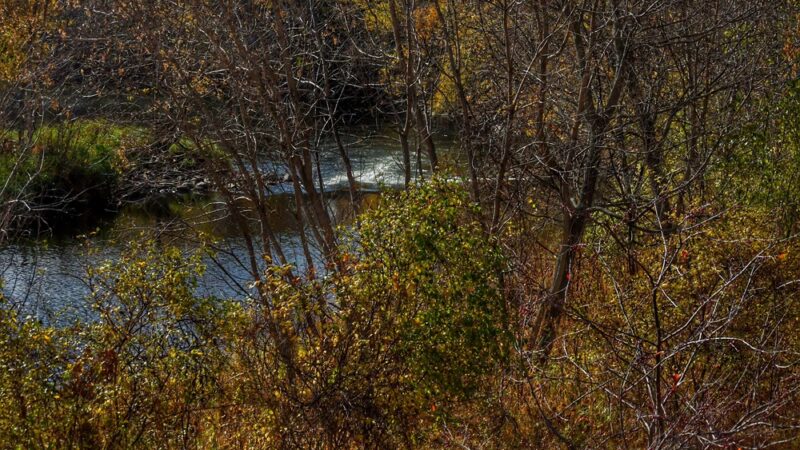 Old swimming house - Appleton, MN