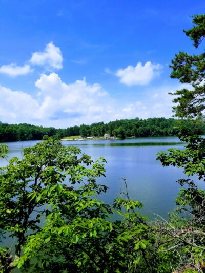 Appomattox-Buckingham State Forest - Appomattox, VA