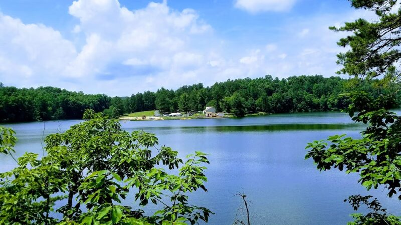 Appomattox-Buckingham State Forest - Appomattox, VA