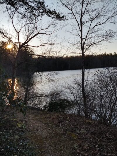 Appomattox-Buckingham State Forest - Appomattox, VA