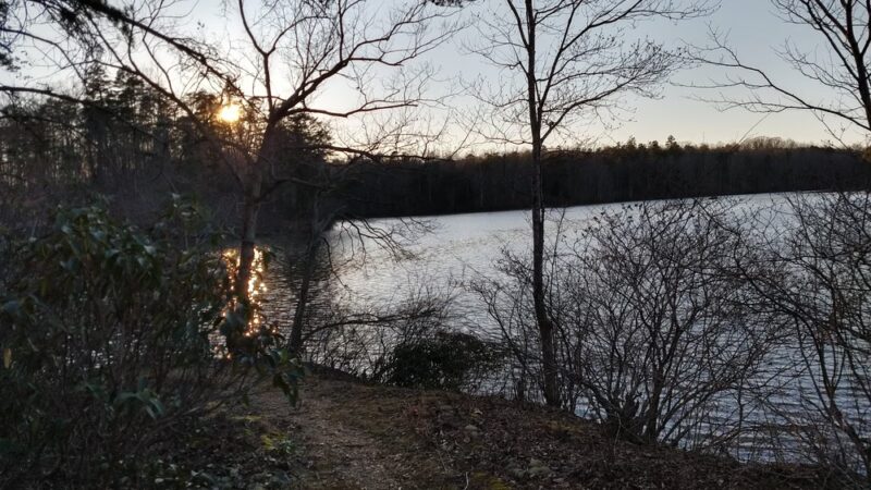 Appomattox-Buckingham State Forest - Appomattox, VA