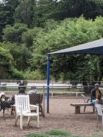Polo Grounds Dog Park - Aptos, CA