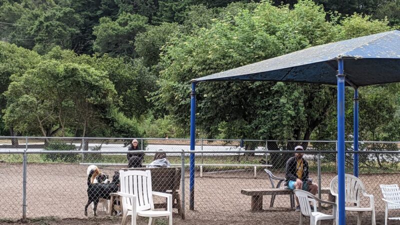 Polo Grounds Dog Park - Aptos, CA