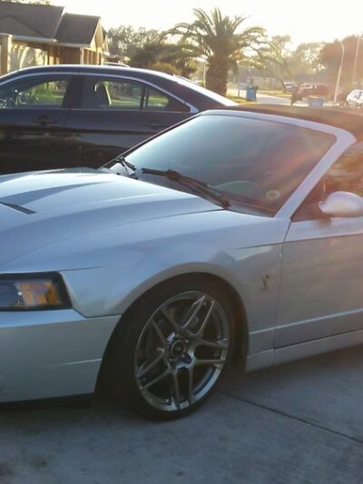 Patricia Park - Arabi, LA