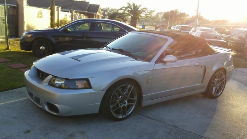 Patricia Park - Arabi, LA