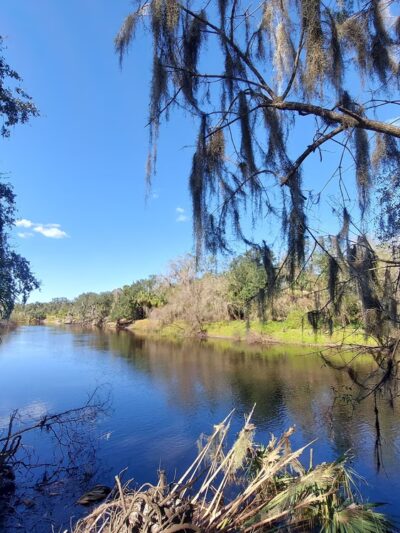 DeSoto Veterans Memorial Park - Arcadia, FL