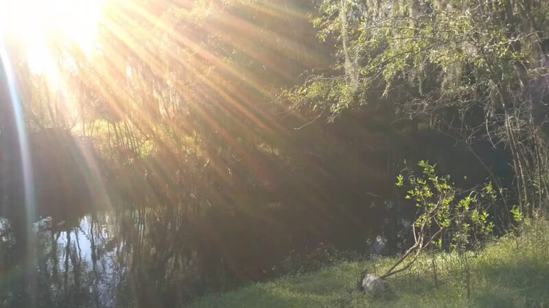 Morgan Park - Arcadia, FL