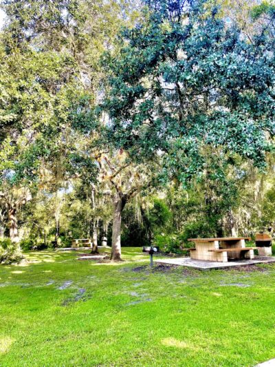 Morgan Park - Arcadia, FL
