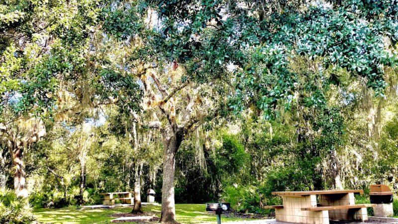 Morgan Park - Arcadia, FL