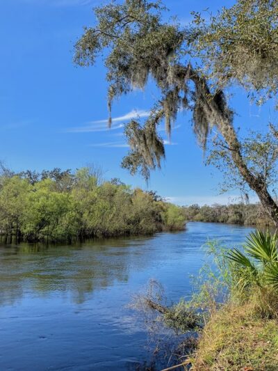 Morgan Park - Arcadia, FL