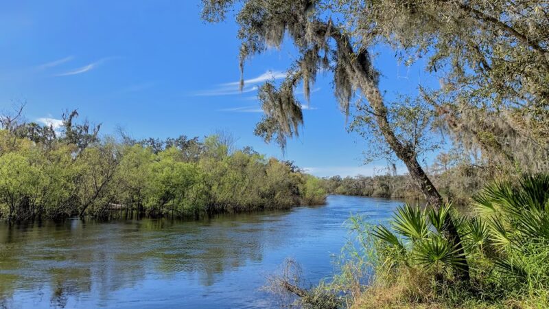 Morgan Park - Arcadia, FL