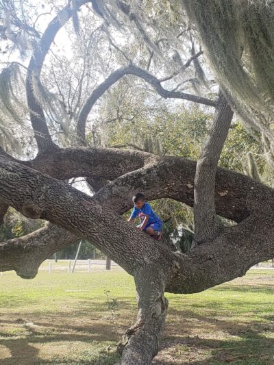 Storybook Park - Arcadia, FL