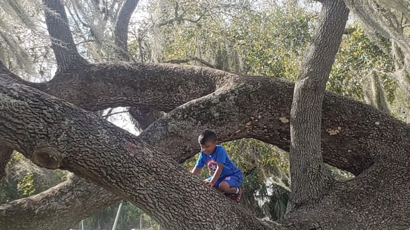 Storybook Park - Arcadia, FL