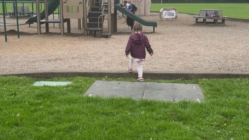 Arcata Community Park - Arcata, CA