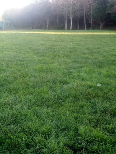 Cahill Park - Arcata, CA