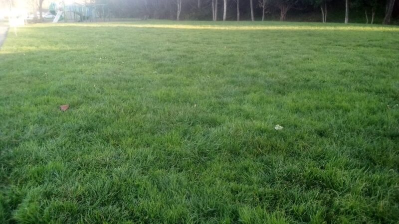 Cahill Park - Arcata, CA