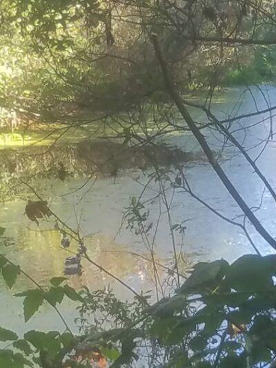 Cahill Park - Arcata, CA