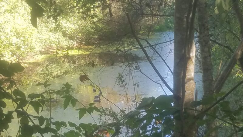 Cahill Park - Arcata, CA