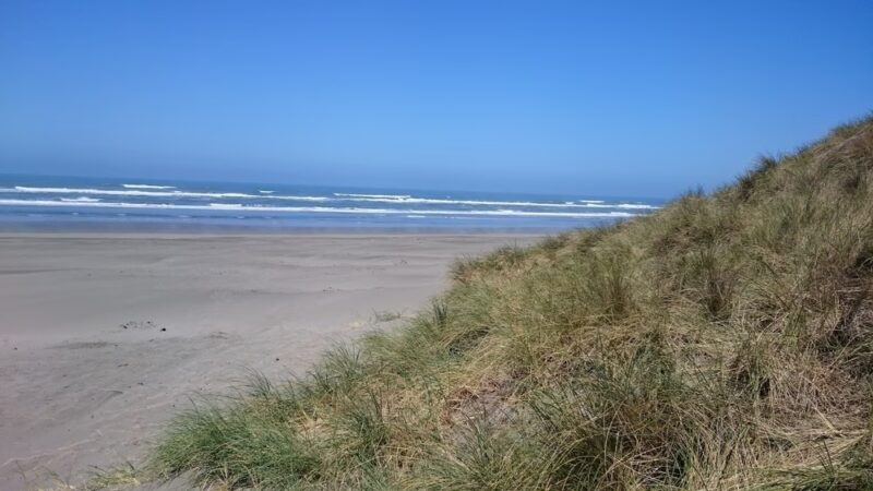 Mad River Beach County Park - Arcata, CA