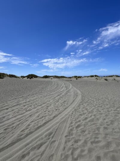 Mad River Beach County Park - Arcata, CA