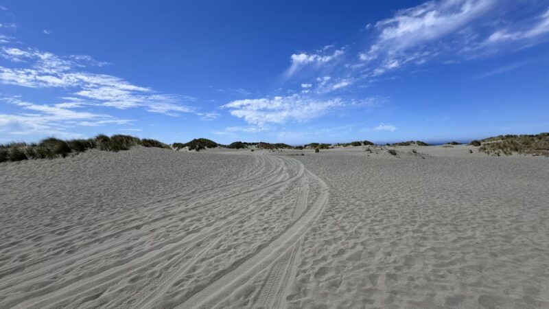 Mad River Beach County Park - Arcata, CA