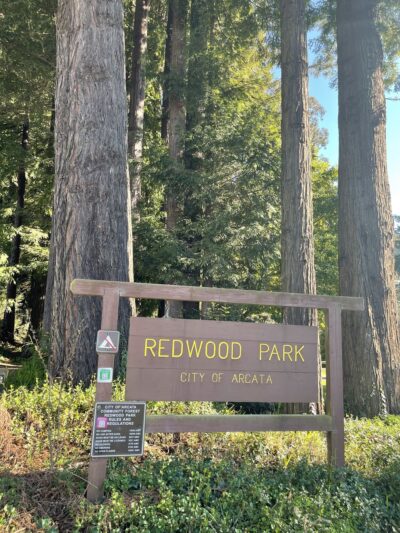 Redwood Park - Arcata, CA