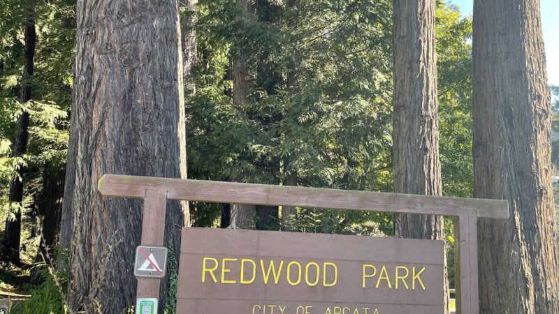 Redwood Park - Arcata, CA