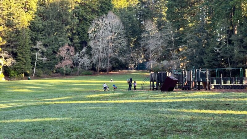 Redwood Park - Arcata, CA