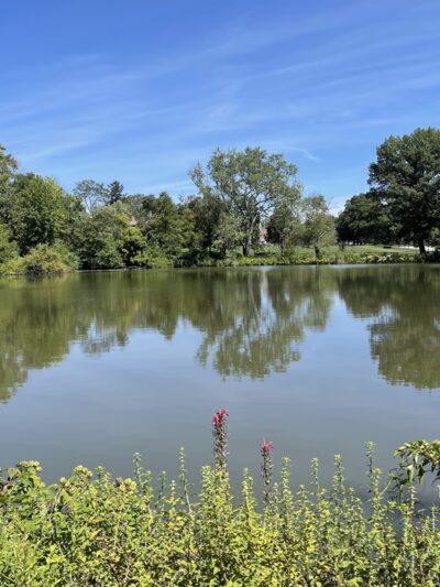 Haverford College Nature Trail - Ardmore, PA