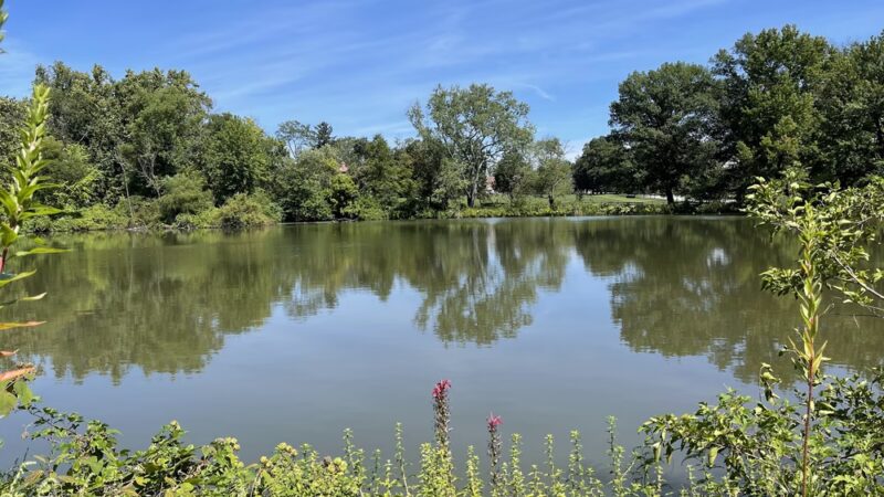 Haverford College Nature Trail - Ardmore, PA