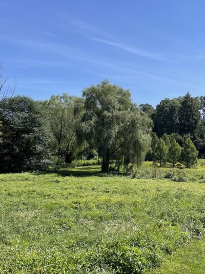 Haverford College Nature Trail - Ardmore, PA