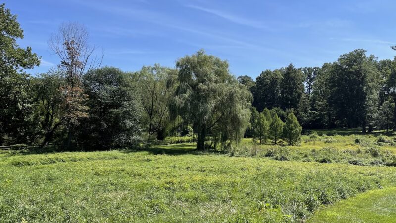 Haverford College Nature Trail - Ardmore, PA