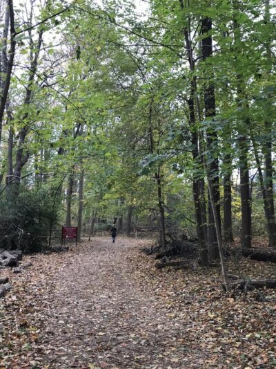 Haverford College Nature Trail - Ardmore, PA