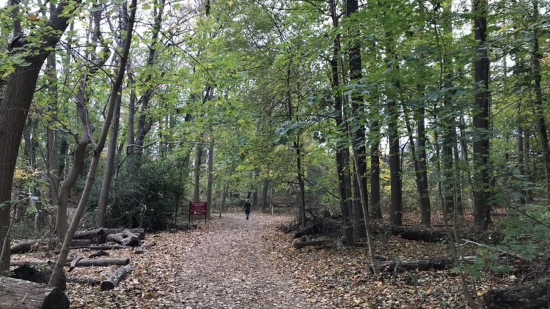 Haverford College Nature Trail - Ardmore, PA