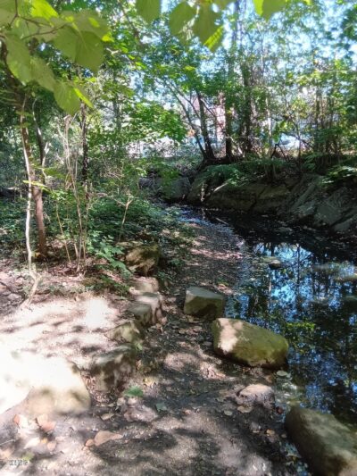 Haverford College Nature Trail - Ardmore, PA