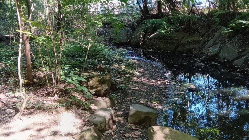 Haverford College Nature Trail - Ardmore, PA