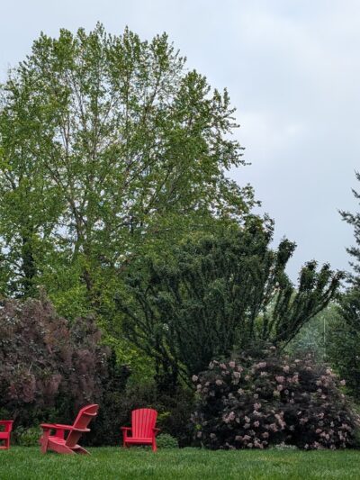 Linwood Park - Ardmore, PA