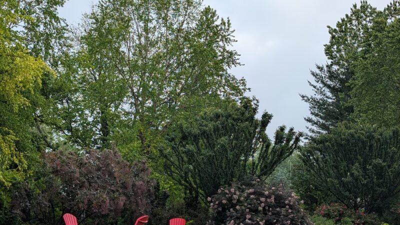 Linwood Park - Ardmore, PA