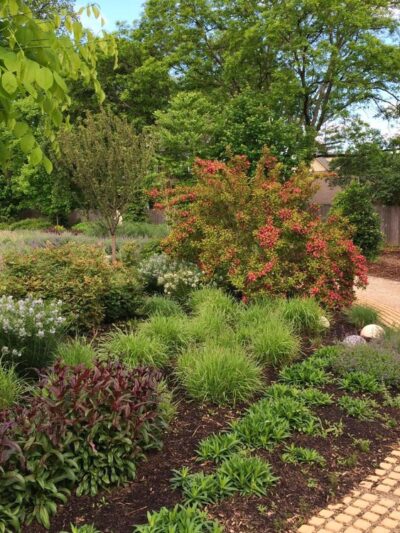 Linwood Park - Ardmore, PA