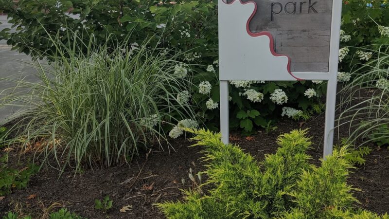 Linwood Park - Ardmore, PA