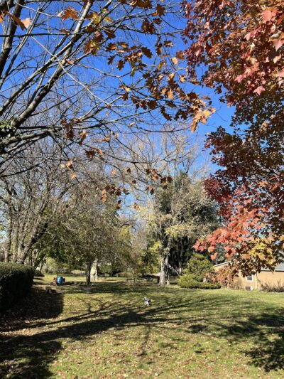 Normandy Park - Ardmore, PA