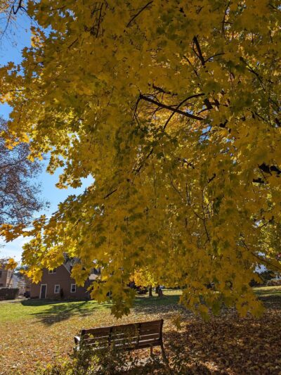 Normandy Park - Ardmore, PA