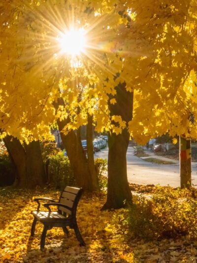 Normandy Park - Ardmore, PA