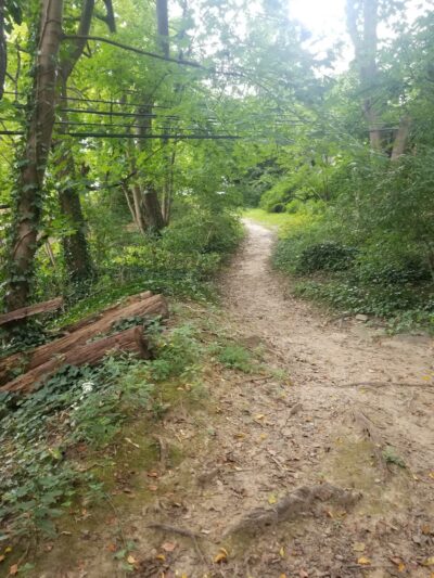 Packer Park - Ardmore, PA