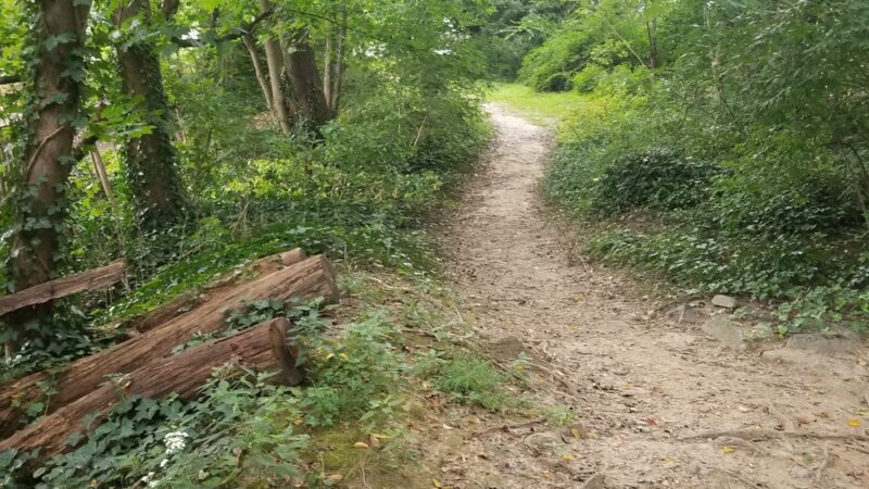 Packer Park - Ardmore, PA